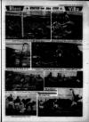 Birmingham Weekly Mercury Sunday 29 January 1961 Page 31