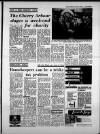 Birmingham Weekly Mercury Sunday 02 February 1964 Page 25