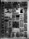 Birmingham Weekly Mercury Sunday 26 October 1980 Page 31