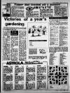 Birmingham Weekly Mercury Sunday 23 January 1983 Page 37