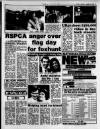Birmingham Weekly Mercury Sunday 22 January 1984 Page 5