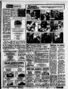 Birmingham Weekly Mercury Sunday 19 February 1984 Page 45