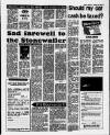 Birmingham Weekly Mercury Sunday 24 January 1988 Page 17