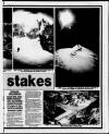 Birmingham Weekly Mercury Sunday 21 January 1990 Page 43