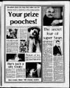 Birmingham Weekly Mercury Sunday 18 February 1990 Page 19