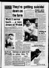 Birmingham Weekly Mercury Sunday 19 May 1991 Page 17