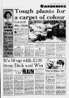 Birmingham Weekly Mercury Sunday 12 February 1995 Page 77