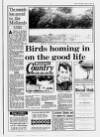 Birmingham Weekly Mercury Sunday 18 June 1995 Page 13