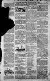 Birmingham Weekly Post Saturday 06 January 1900 Page 3