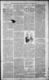 Birmingham Weekly Post Saturday 06 January 1900 Page 7