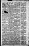 Birmingham Weekly Post Saturday 06 January 1900 Page 15