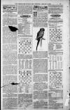 Birmingham Weekly Post Saturday 06 January 1900 Page 19