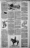Birmingham Weekly Post Saturday 13 January 1900 Page 13
