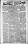 Birmingham Weekly Post Saturday 27 January 1900 Page 17
