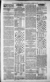 Birmingham Weekly Post Saturday 27 January 1900 Page 19