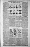 Birmingham Weekly Post Saturday 03 February 1900 Page 13