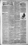 Birmingham Weekly Post Saturday 03 February 1900 Page 17