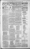Birmingham Weekly Post Saturday 03 February 1900 Page 21