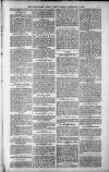 Birmingham Weekly Post Saturday 10 February 1900 Page 3