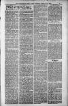 Birmingham Weekly Post Saturday 10 February 1900 Page 15