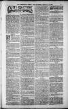 Birmingham Weekly Post Saturday 10 February 1900 Page 17
