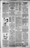 Birmingham Weekly Post Saturday 10 February 1900 Page 19