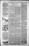 Birmingham Weekly Post Saturday 17 February 1900 Page 5