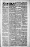 Birmingham Weekly Post Saturday 17 February 1900 Page 11