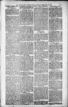 Birmingham Weekly Post Saturday 17 February 1900 Page 15