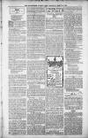 Birmingham Weekly Post Saturday 03 March 1900 Page 7