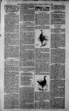Birmingham Weekly Post Saturday 10 March 1900 Page 7