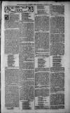 Birmingham Weekly Post Saturday 10 March 1900 Page 21