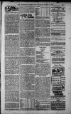 Birmingham Weekly Post Saturday 10 March 1900 Page 23