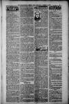 Birmingham Weekly Post Saturday 17 March 1900 Page 9