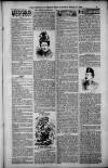 Birmingham Weekly Post Saturday 24 March 1900 Page 9