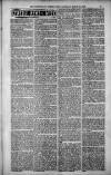 Birmingham Weekly Post Saturday 24 March 1900 Page 11
