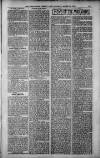 Birmingham Weekly Post Saturday 24 March 1900 Page 15