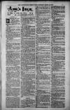 Birmingham Weekly Post Saturday 24 March 1900 Page 17