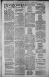 Birmingham Weekly Post Saturday 24 March 1900 Page 21
