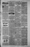 Birmingham Weekly Post Saturday 31 March 1900 Page 7