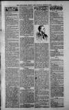 Birmingham Weekly Post Saturday 31 March 1900 Page 9