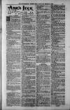 Birmingham Weekly Post Saturday 31 March 1900 Page 17