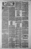 Birmingham Weekly Post Saturday 31 March 1900 Page 21