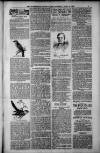 Birmingham Weekly Post Saturday 14 April 1900 Page 7