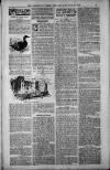 Birmingham Weekly Post Saturday 21 April 1900 Page 7