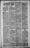 Birmingham Weekly Post Saturday 21 April 1900 Page 17