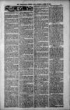 Birmingham Weekly Post Saturday 28 April 1900 Page 11