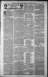 Birmingham Weekly Post Saturday 28 April 1900 Page 21