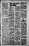 Birmingham Weekly Post Saturday 12 May 1900 Page 5