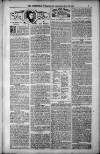 Birmingham Weekly Post Saturday 12 May 1900 Page 7